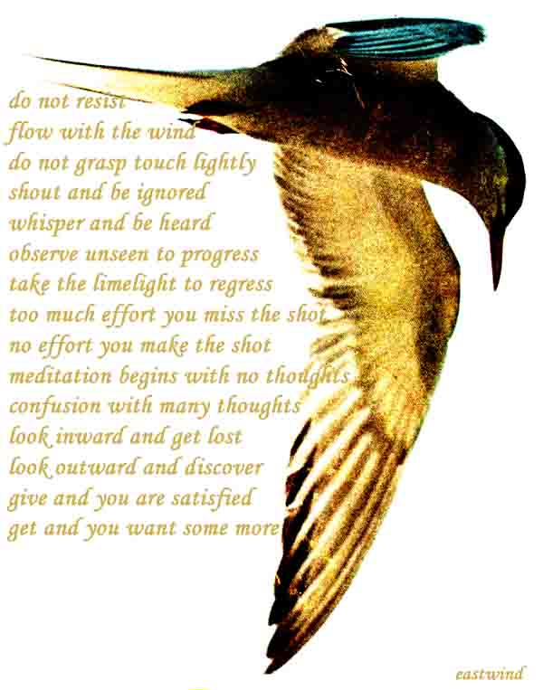 poster17a-189-do-not-resist-flow-with-the-wind1