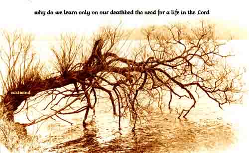 poster30a-174-328-why-do-we-learn-only-on