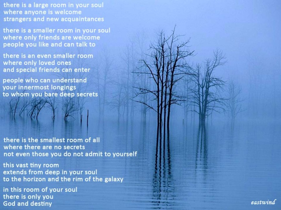 poster 39 rooms of the soul