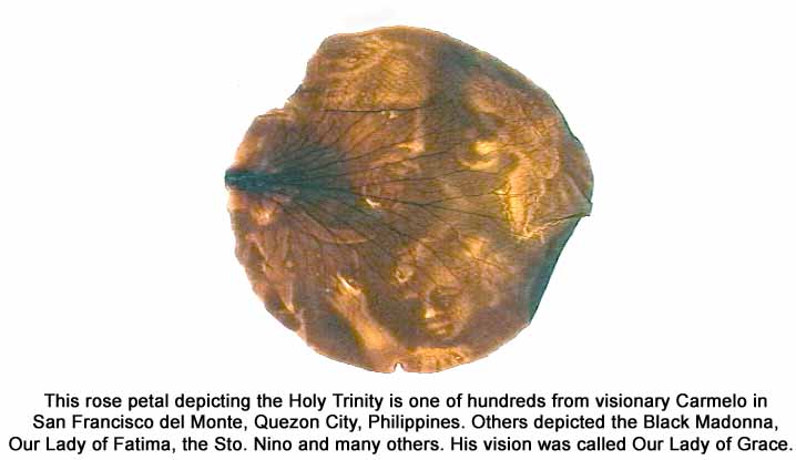 poster 18a1 rose petal