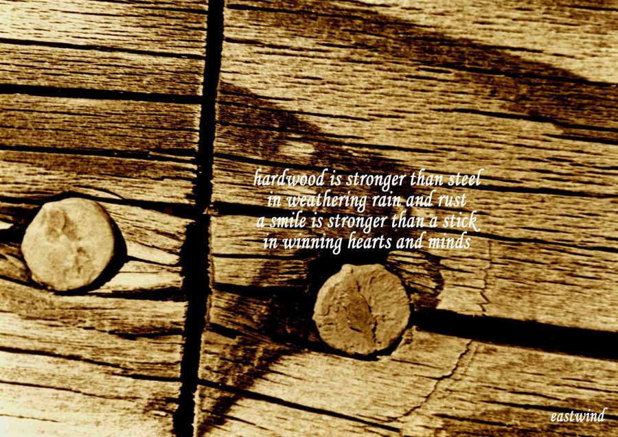 Storrs, Connecticut, USA 1981 bernie lopez