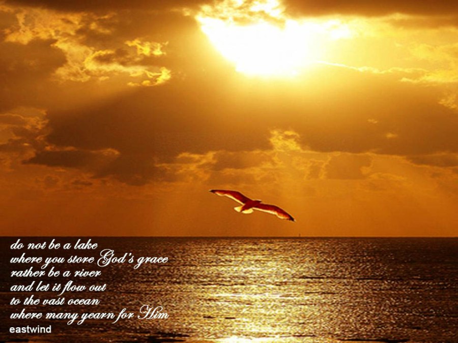 poster 38 do not be a lake