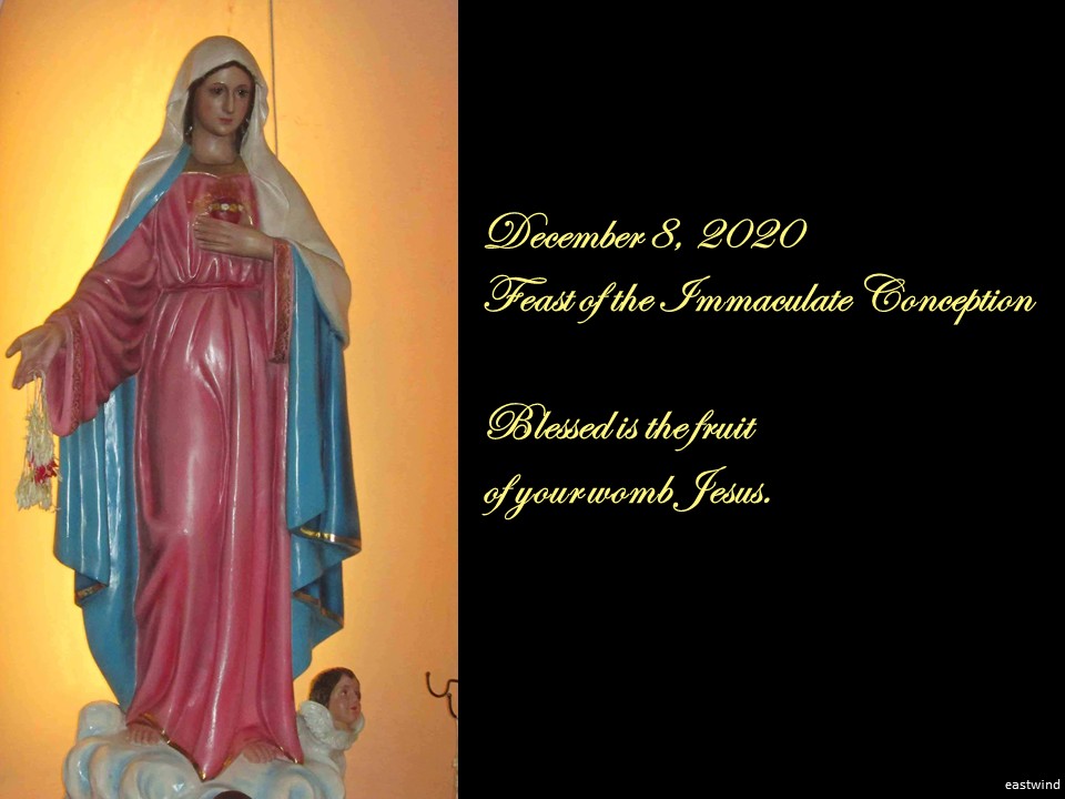 This image has an empty alt attribute; its file name is 406-blessed-is-the-fruit.jpg